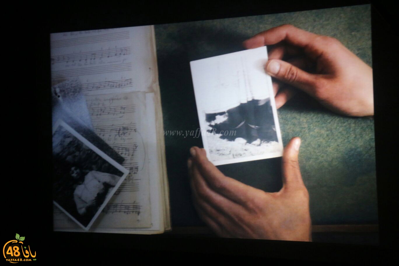 saryara jwqjeh1 (9).jpg